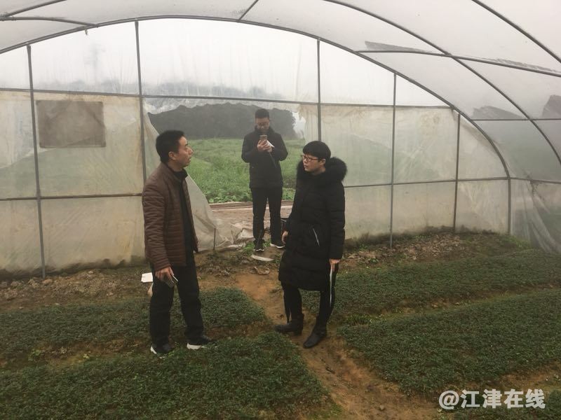 QQ图片20190202142426_看图王.jpg