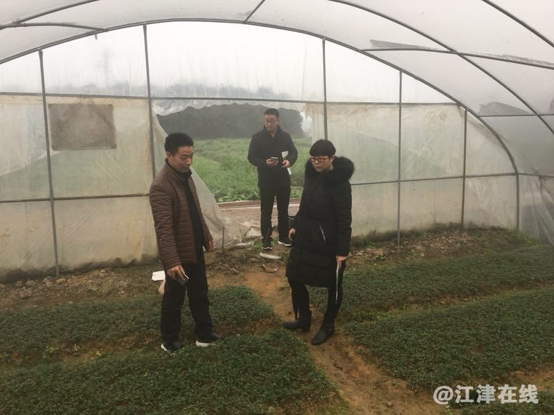 QQ图片20190202142409_看图王.jpg