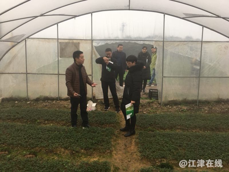 QQ图片20190202142401_看图王.jpg