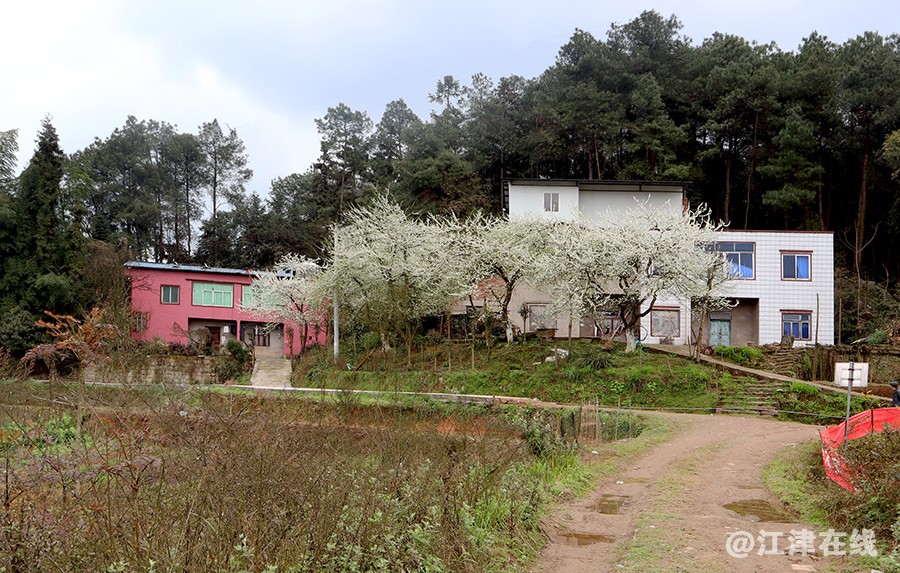 鸿缘山庄 (11).jpg