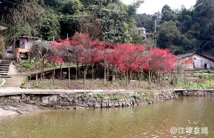 鸿缘山庄 (13).jpg