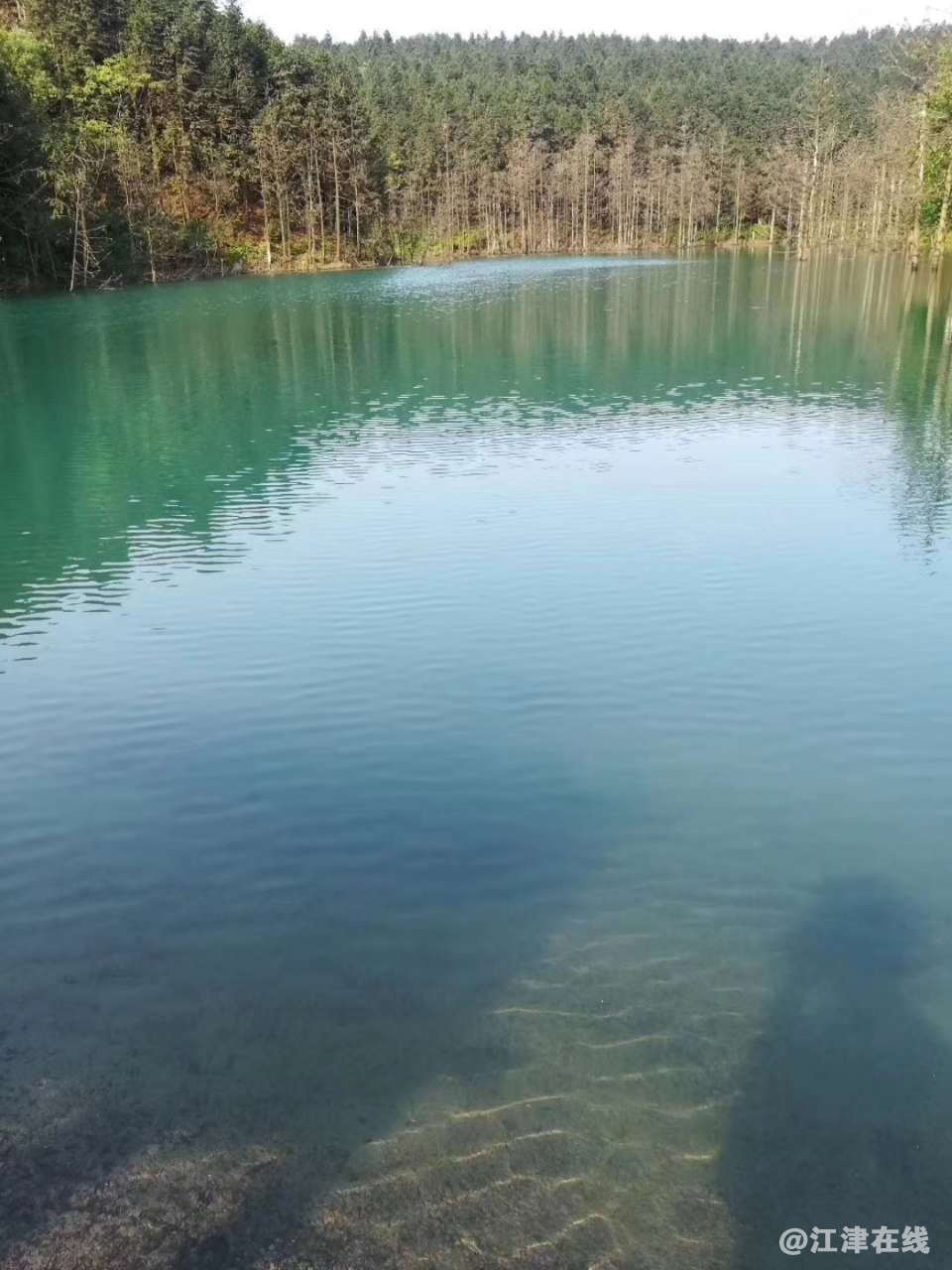 20190323_157294_1553322554787.jpg