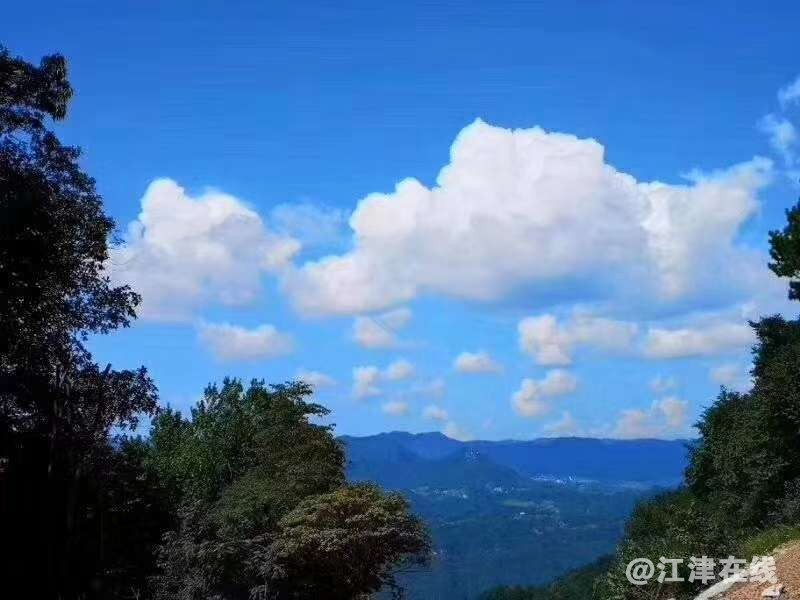 20190323_157294_1553322554627.jpg