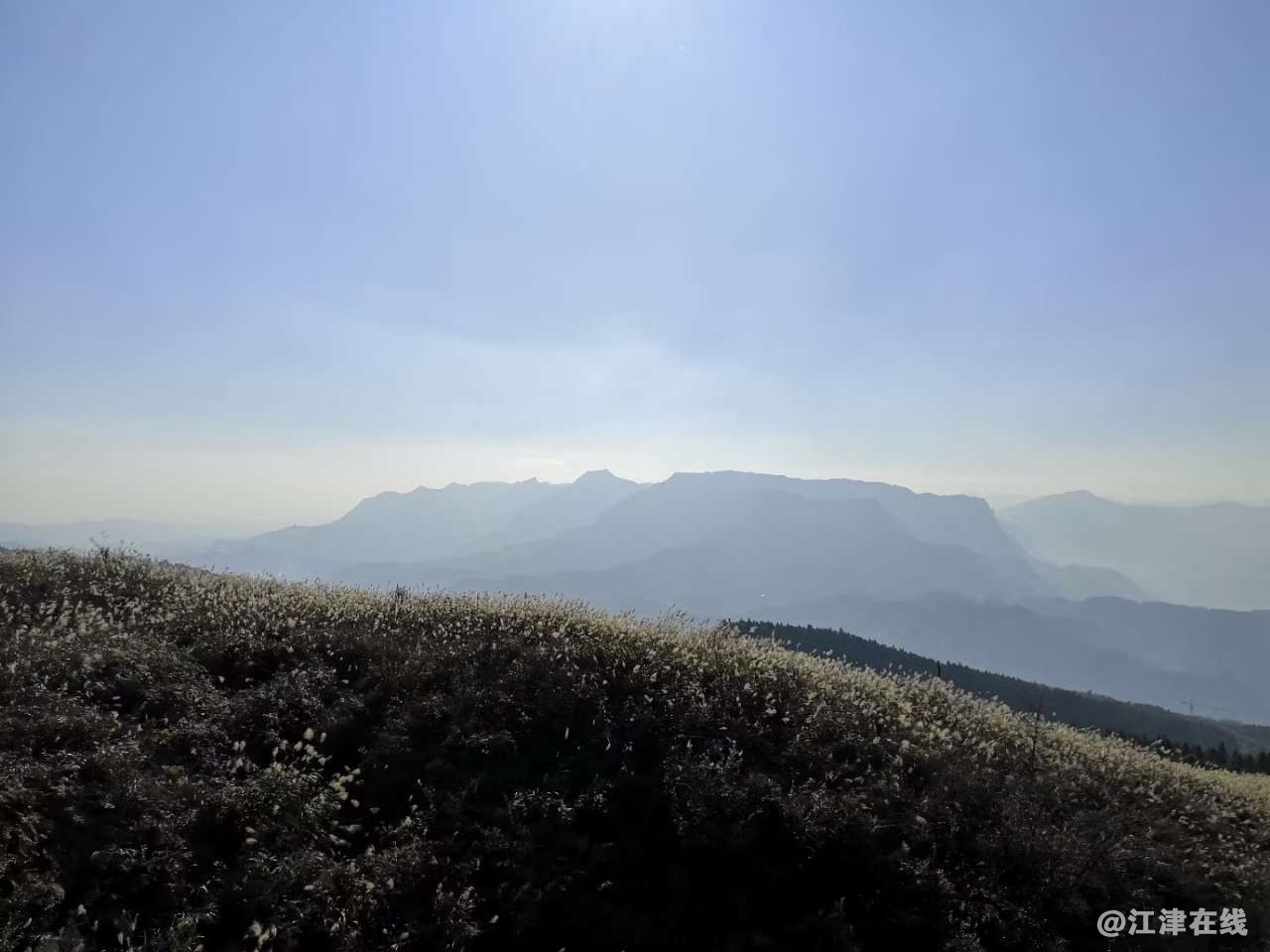20190323_157294_1553322554966.jpg