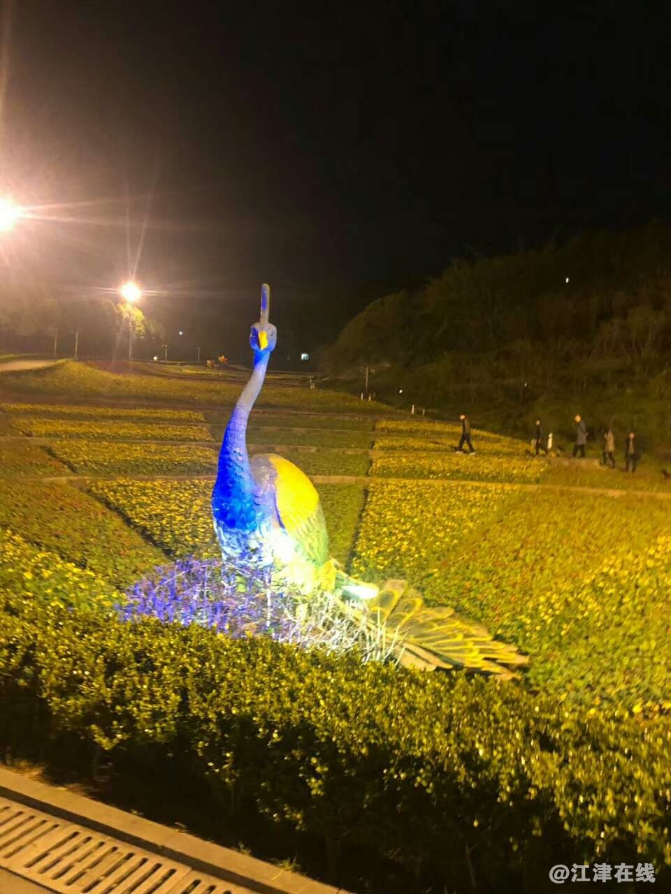 20190325_250485_1553522337364.jpg