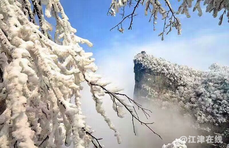 QQ图片20190319132138.jpg