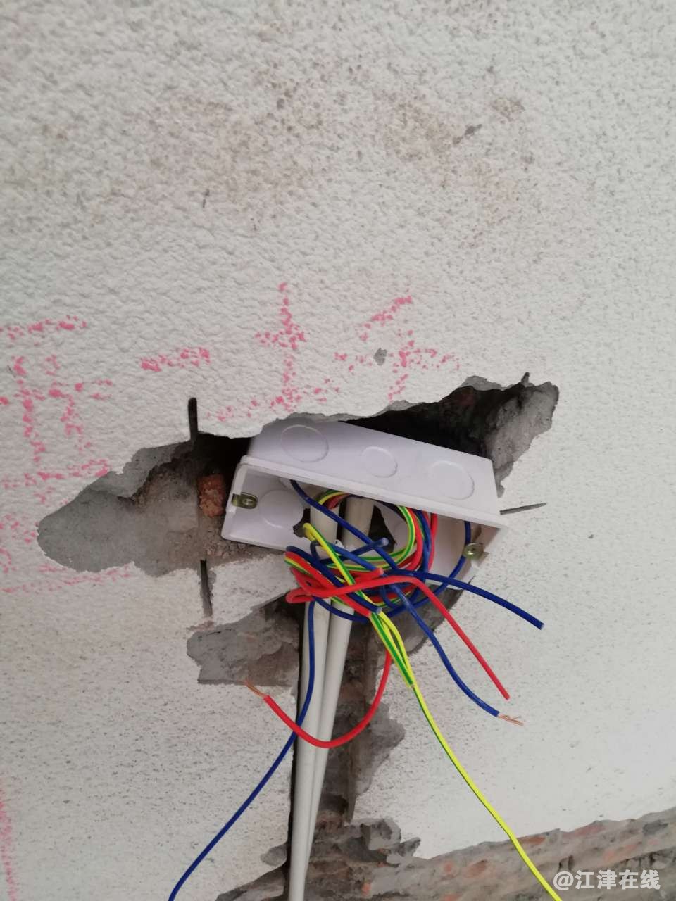 20190403_37039_1554288706359.jpg