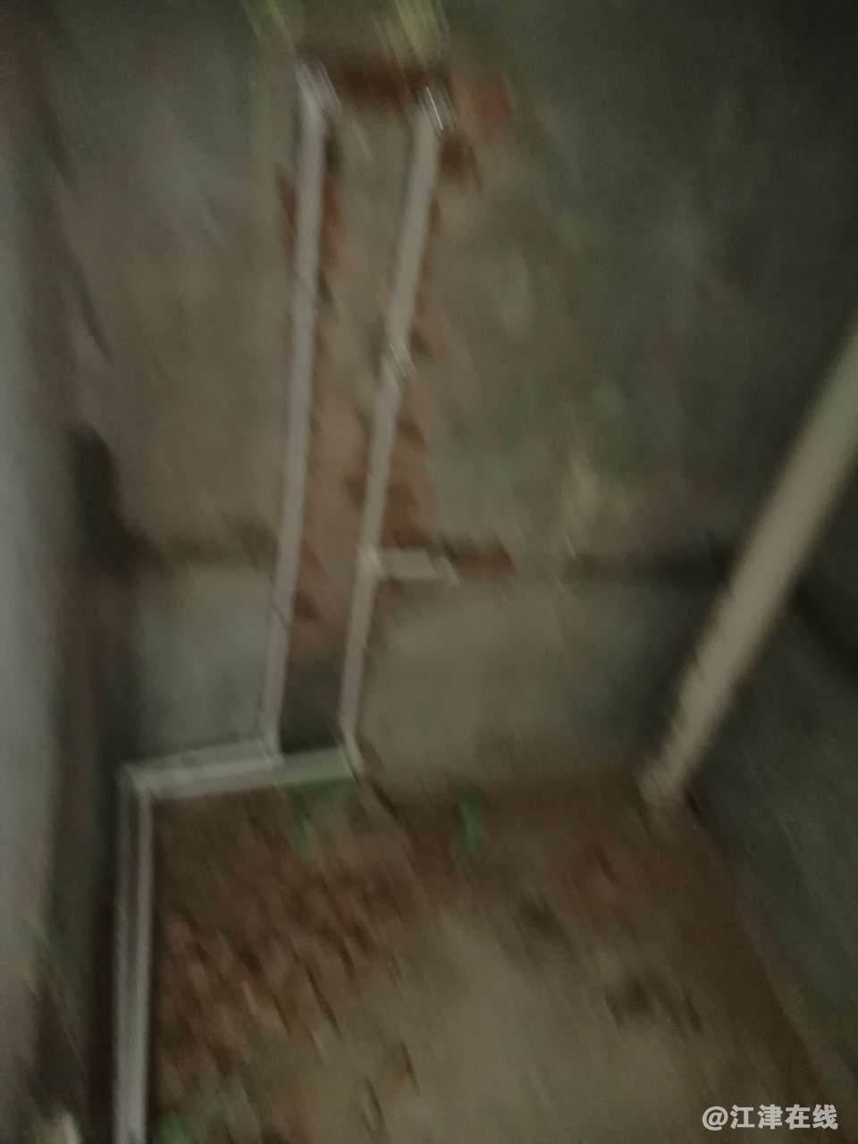 20190403_37039_1554288707633.jpg