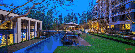 1BF0EA7C-08E9-4413-8296-C2099B218DF9.gif