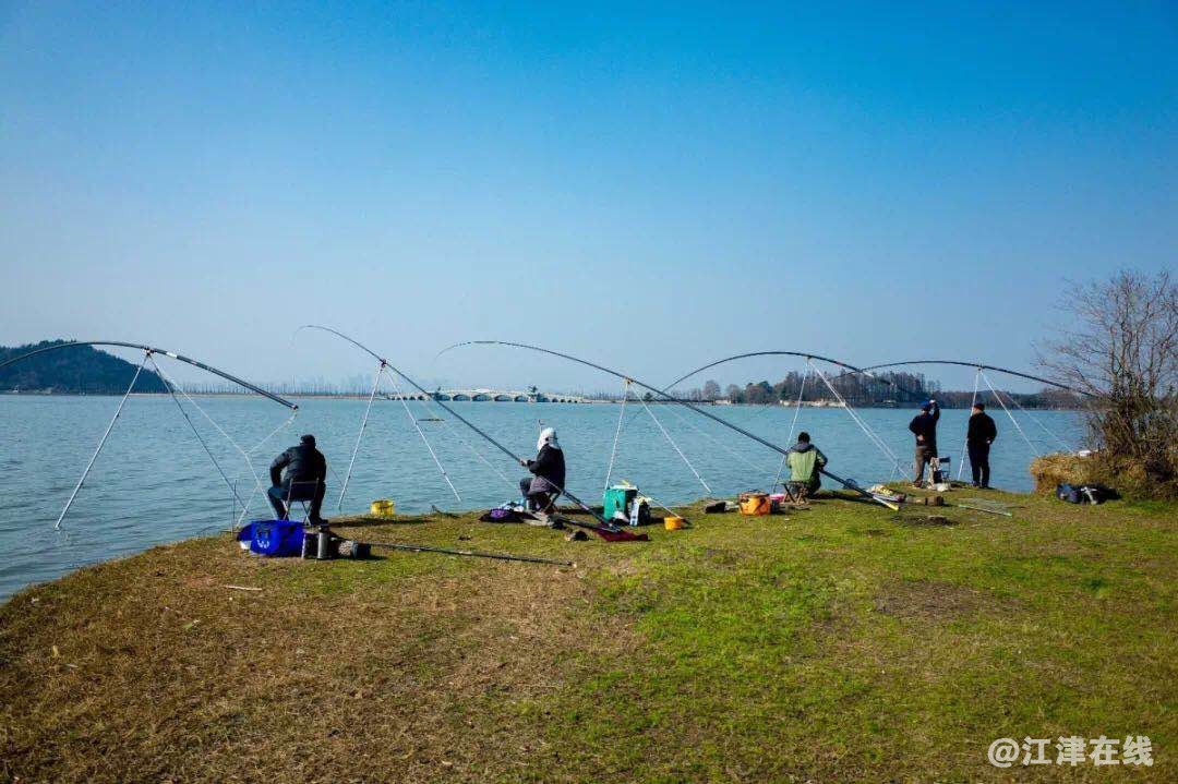 微信图片_20190410203921.jpg
