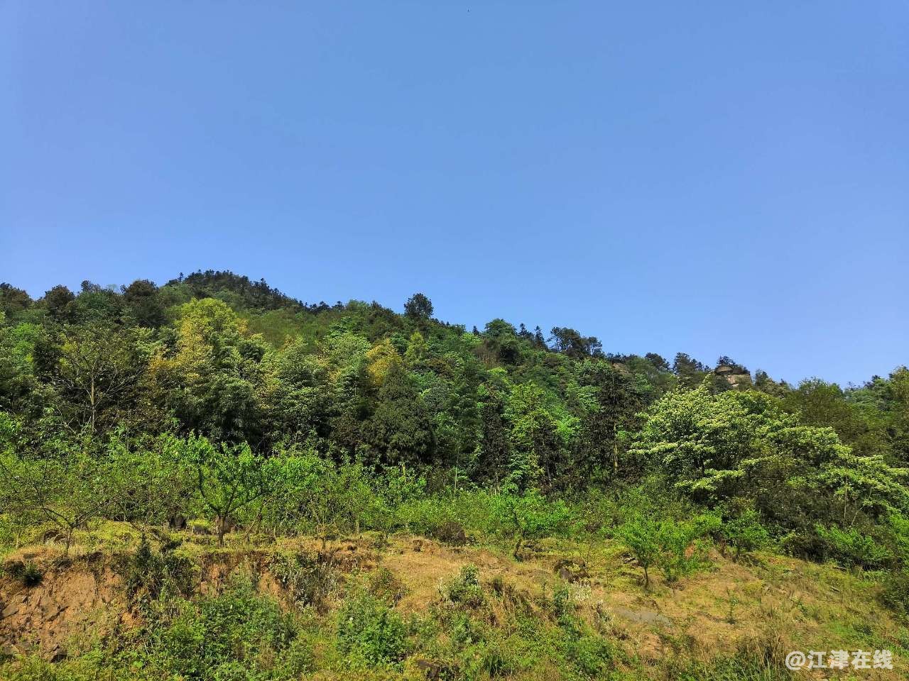 20190413_344383_1555153556731.jpg