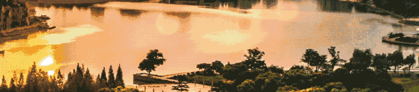 display_picture.gif
