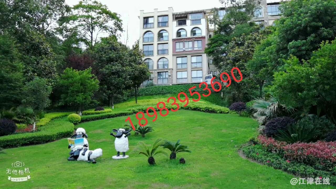 20190421_107627_1555809053957.jpg