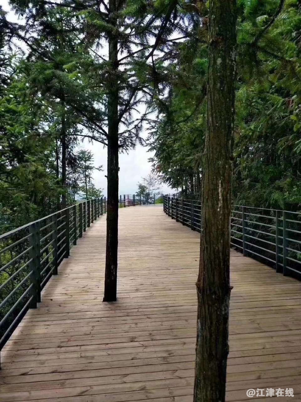 20190427_107627_1556328646922.jpg