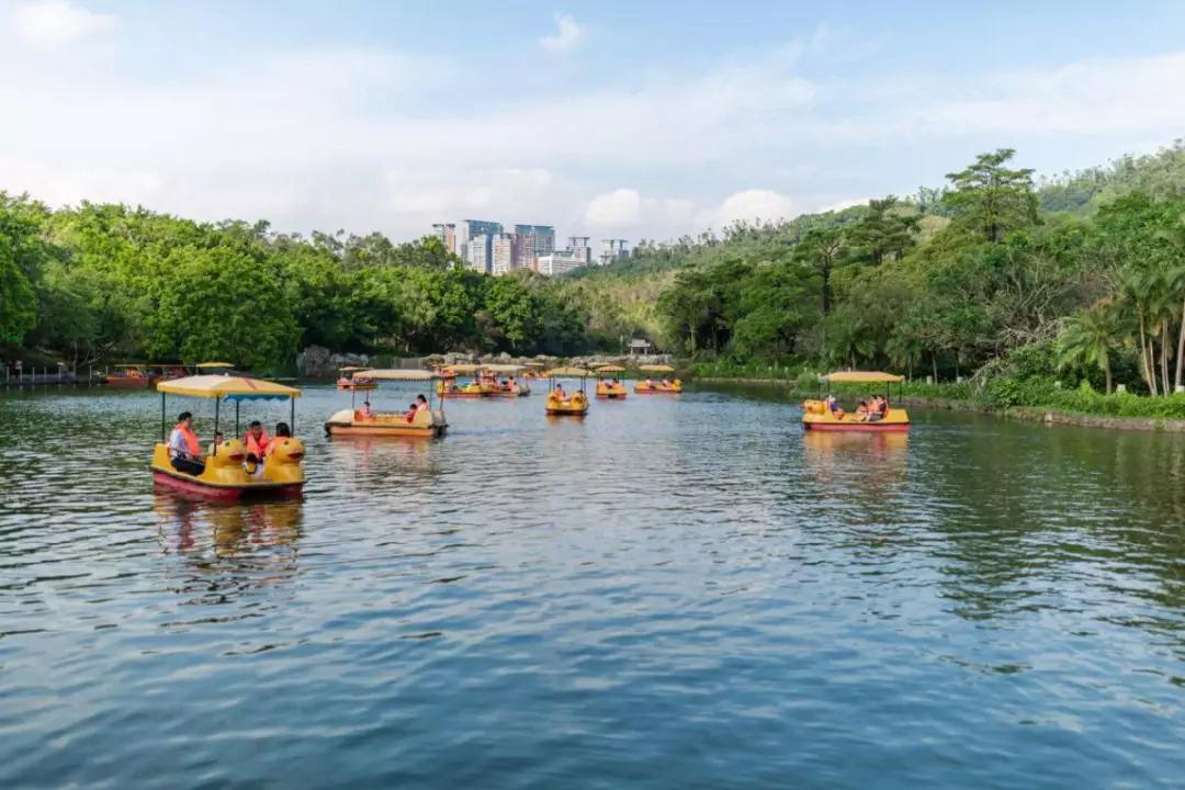 微信图片_20190514144053.jpg