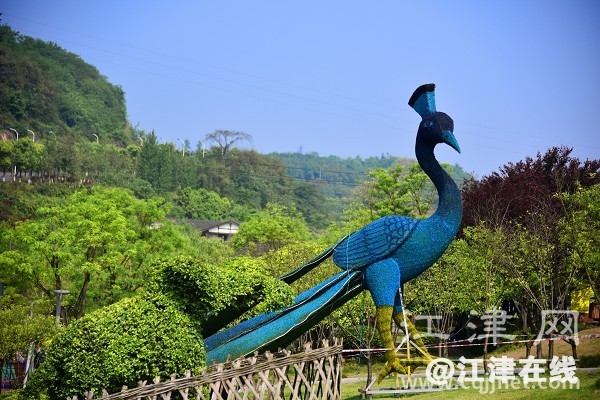 d467ac8f-f900-4647-8d19-0d990782ee68.jpg
