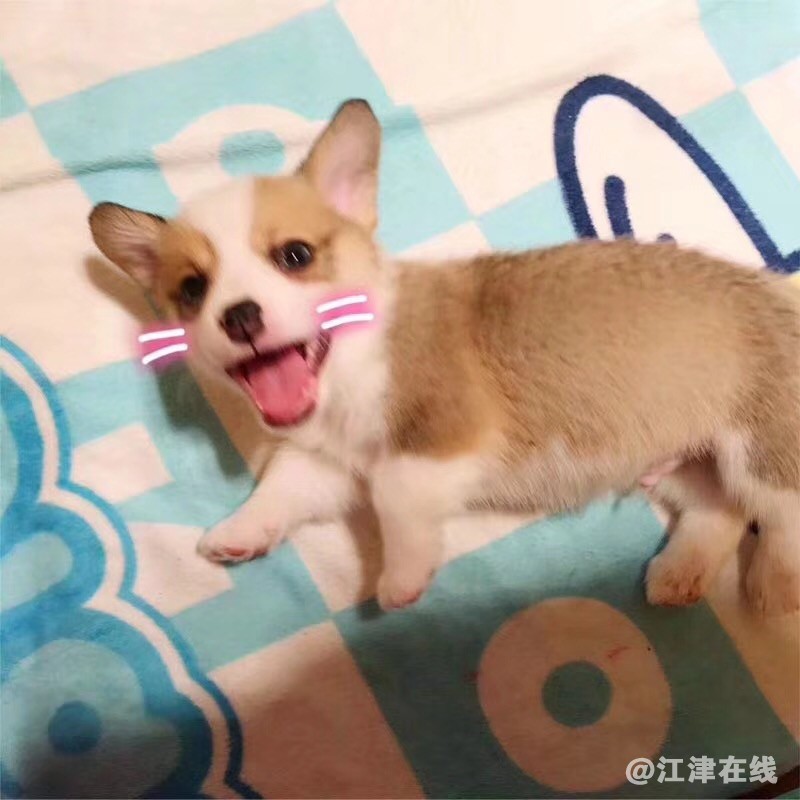 微信图片_20180528172201.jpg