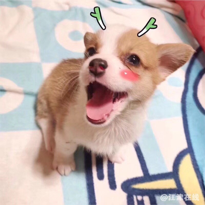 微信图片_20180528172212.jpg