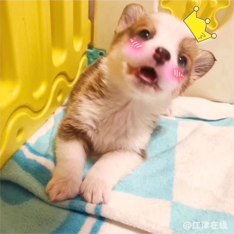 微信图片_20180528172209.jpg