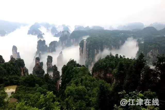 微信图片_20190528080759.jpg