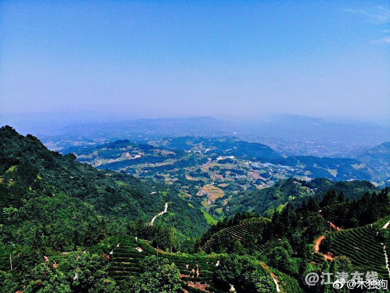 微信图片_201907031440137.jpg