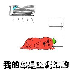 134250qnqizucqe9knguyq.jpg