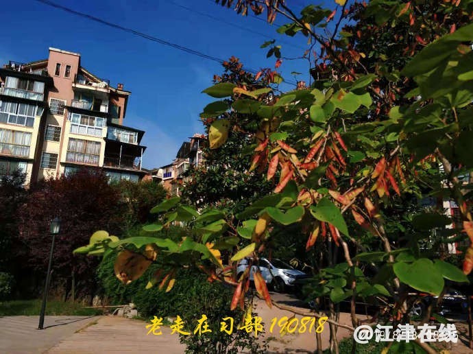 001thRdnzy7wlC6vhtK60&690.jpg