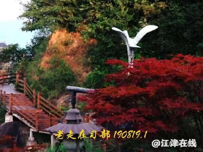 001thRdnzy7wmvICh2h01&690.jpg