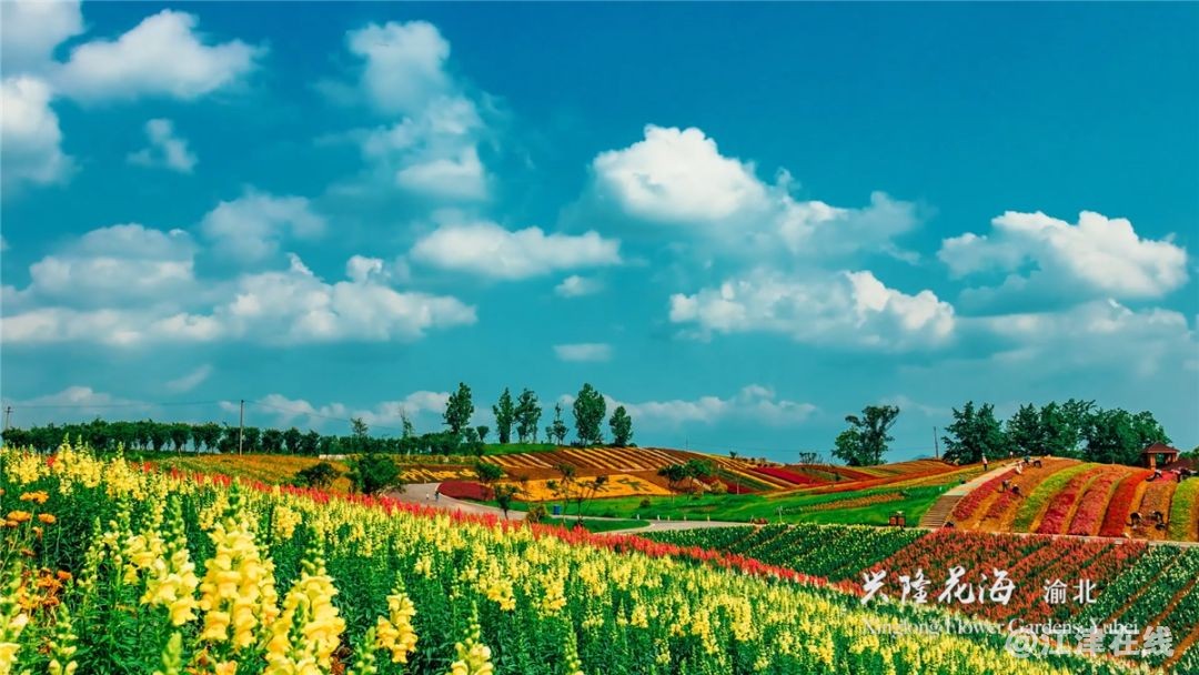 display_picture.php?url=https%3A%2F%2Fmmbiz.qpic.jpg