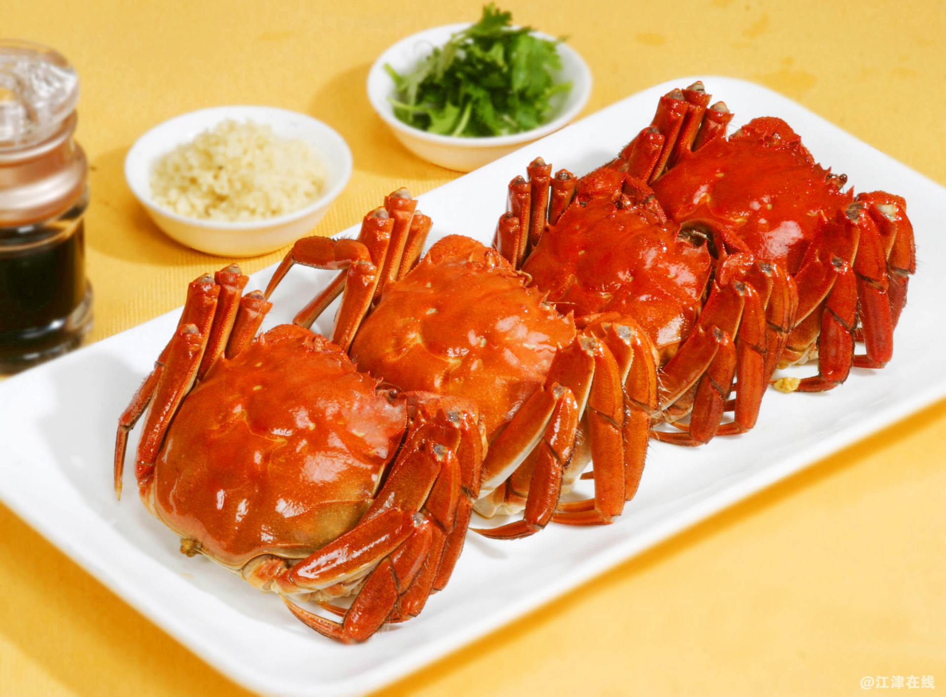 摄图网_500551020_banner.jpg