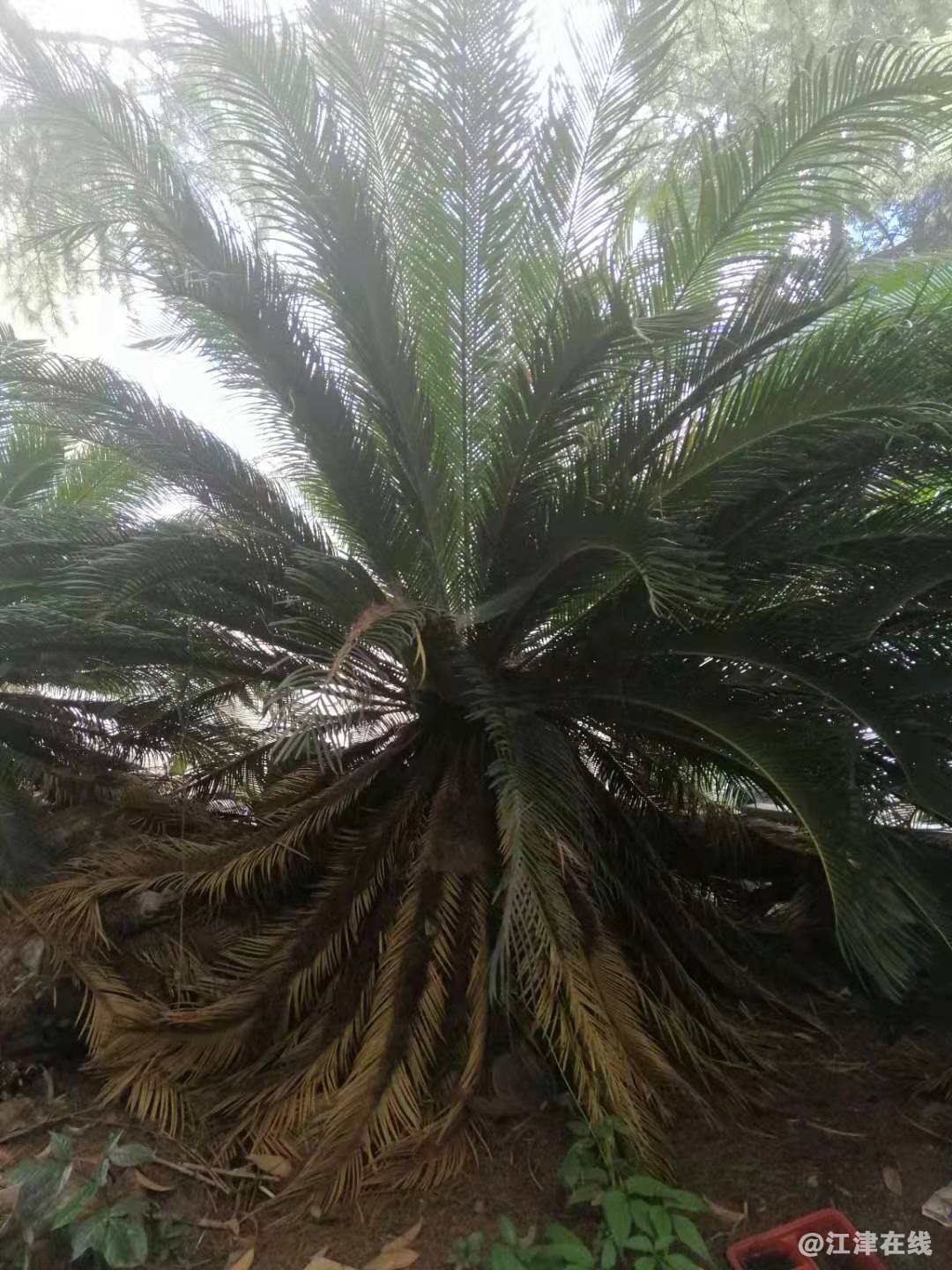 283906399368583303.jpg