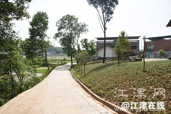 display_picture.php?url=https%3A%2F%2Fmmbiz.qpic.jpg