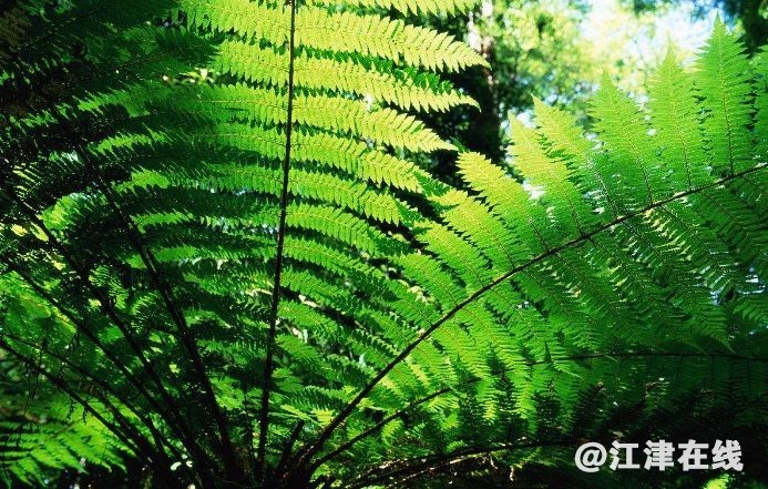 display_picture.php?url=https%3A%2F%2Fmmbiz.qpic.jpg