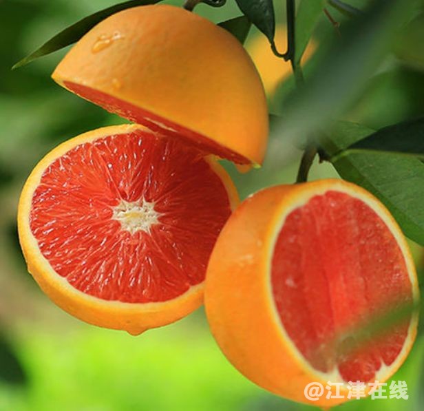 display_picture.php?url=https%3A%2F%2Fmmbiz.qpic.jpg