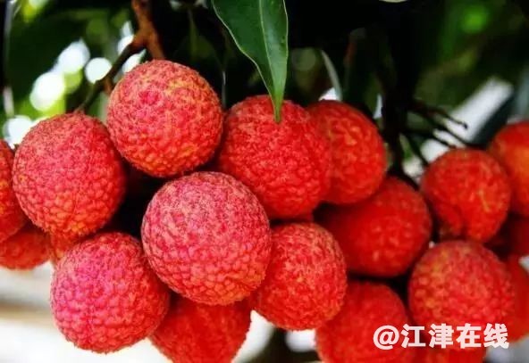 display_picture.php?url=https%3A%2F%2Fmmbiz.qpic.jpg