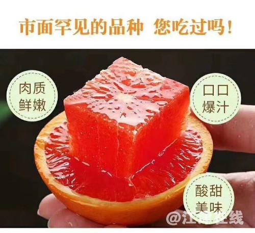 CD845640-8B8D-4EC9-8916-6B6D2D221470.jpeg