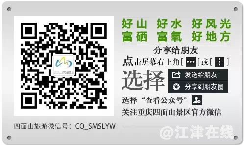 095121yy1zp1q811hq44wk.jpg