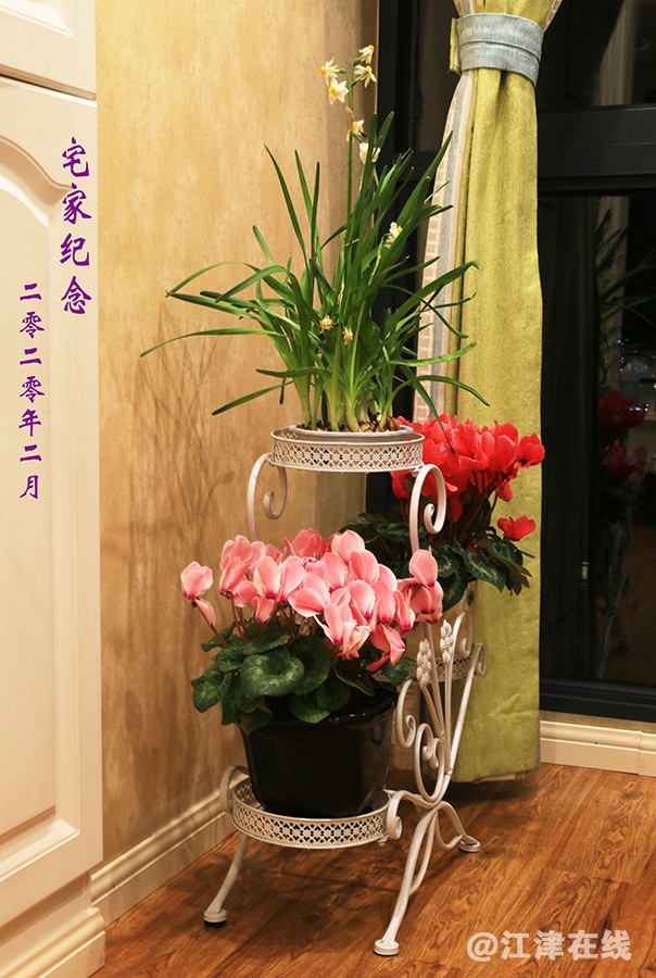 宅家纪念 (2).jpg