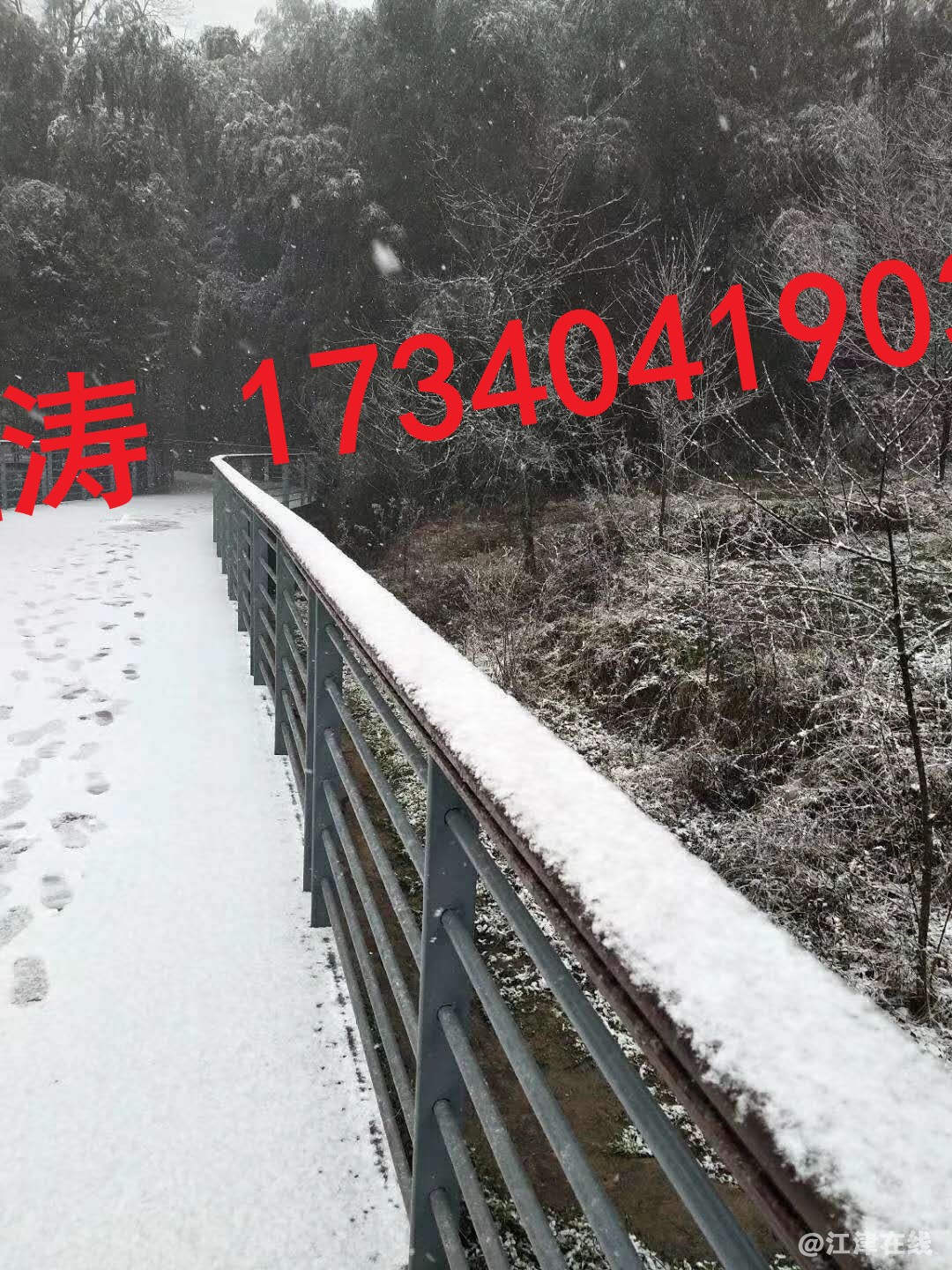 微信图片_202003041424218.jpg