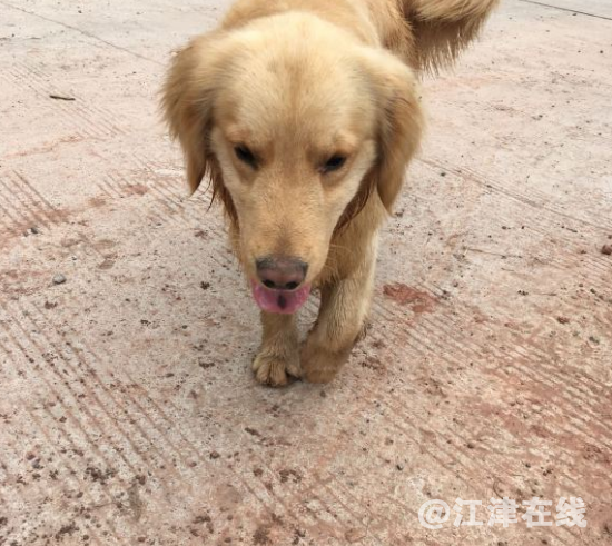微信图片_20200311162056.png