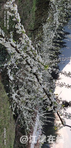 P00321-184940.jpg