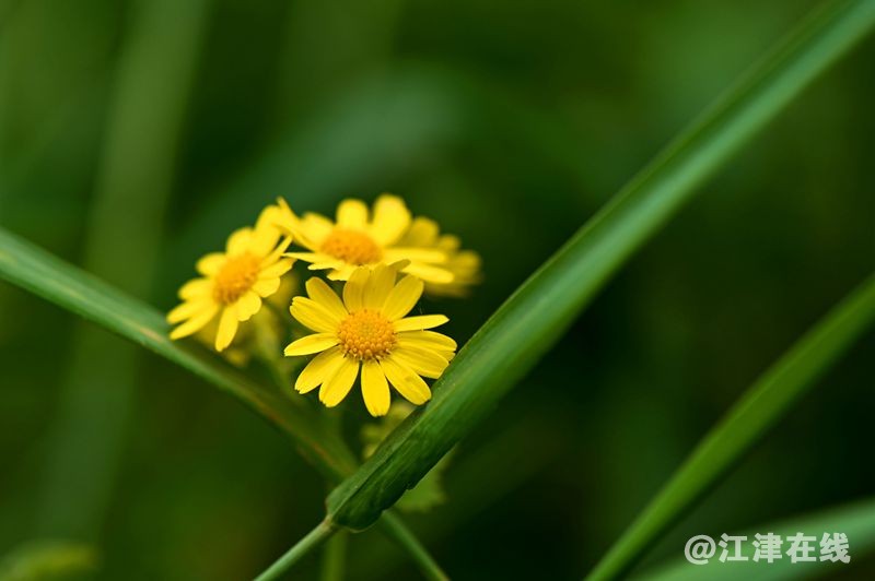 DSC_5771.JPG
