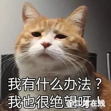 5d2c3c3d3a630f57360c6bc7e9617fa0.jpg