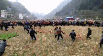 微信图片_20200610160918.gif