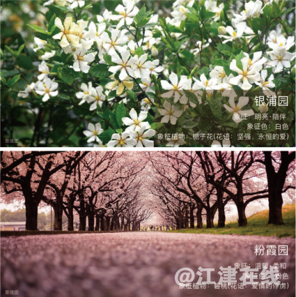 微信截图_20200611101015.png
