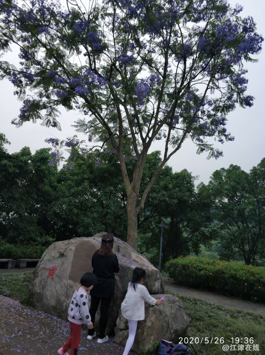 微信图片_20200618175346.jpg