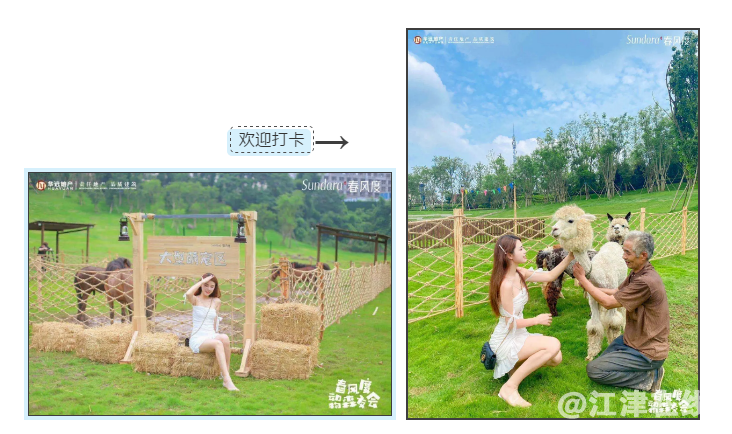 微信截图_20200702140339.png