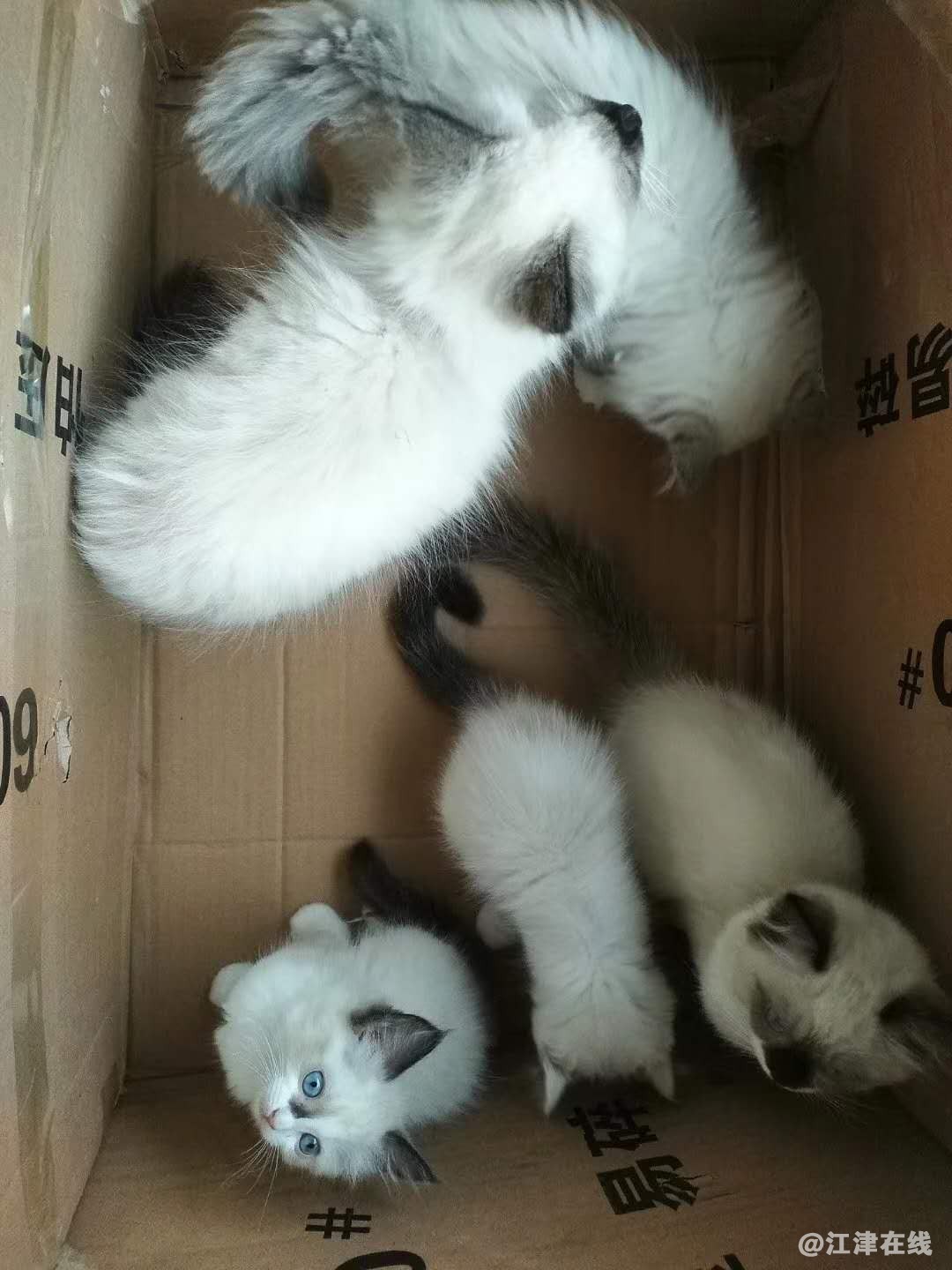 微信图片_20200715145428.jpg