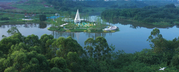 12.gif