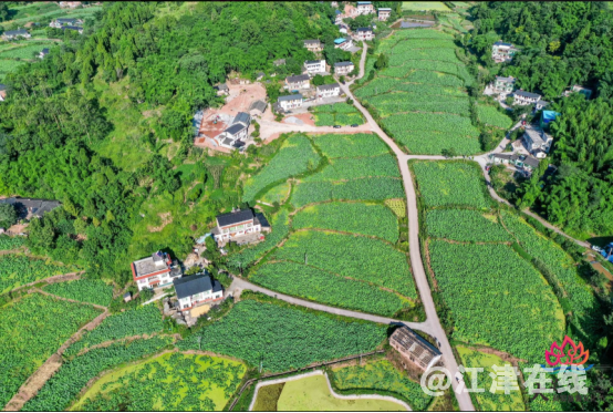 荷棠文化旅游节活动通稿07282280.png